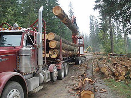 log truck graphic